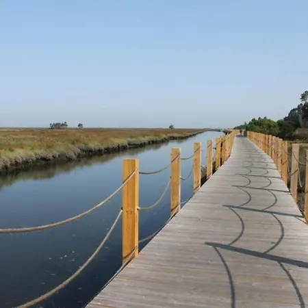 Apartament Rosa D'aveiro Aveiro