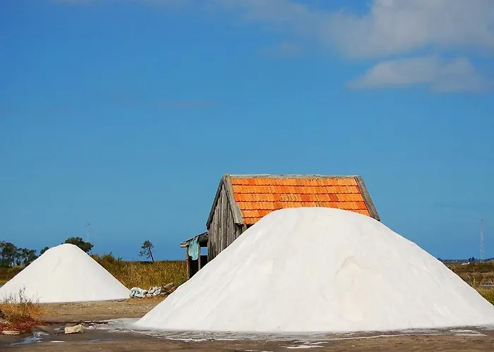 Rosa D'aveiro אבאירו